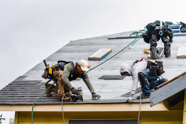 Professional Storm Damage Roof Repair technician working in Chesaning, MI